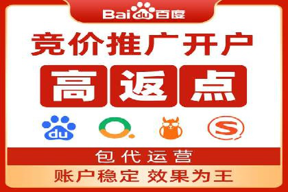 百度品牌专区推广：打造品牌形象的新途径